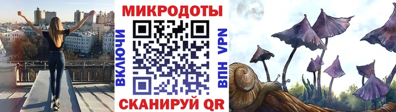 Купить закладки  Морозовск  Псилоцибиновые грибы ЛСД 
